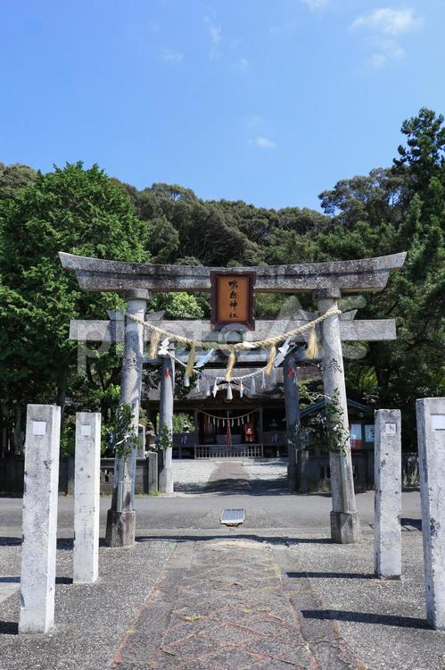 高知県須崎市　鳴無神社　海の鳥居 海の鳥居,鳥居,海の写真素材