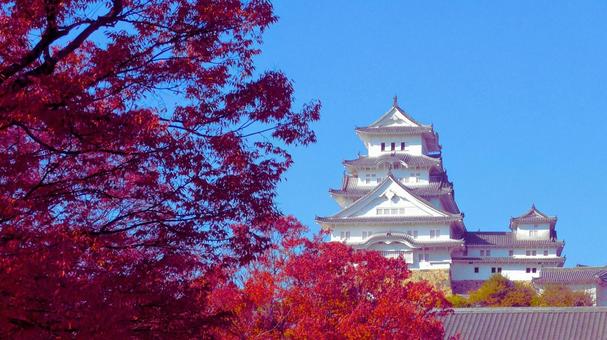 姫路城 東側 姫路城,白鷺城,城壁の写真素材