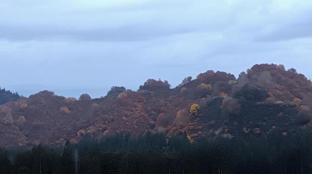 魚沼スカイラインの紅葉 魚沼スカイライン,紅葉,護国観音苑の写真素材