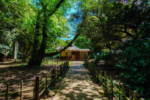 【東京】上野国立博物館 2025 【東京】上野国立博物館 2025の写真