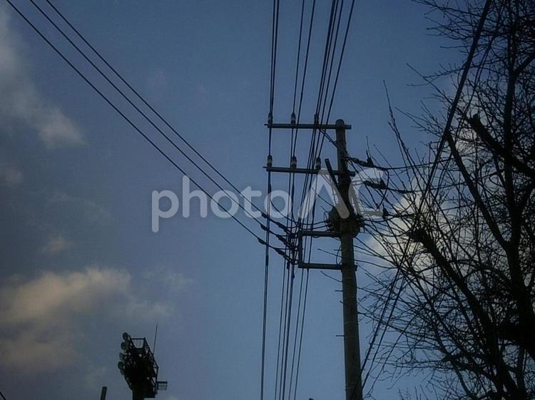 夕暮れの電柱シルエット 電線,風景,空の写真素材