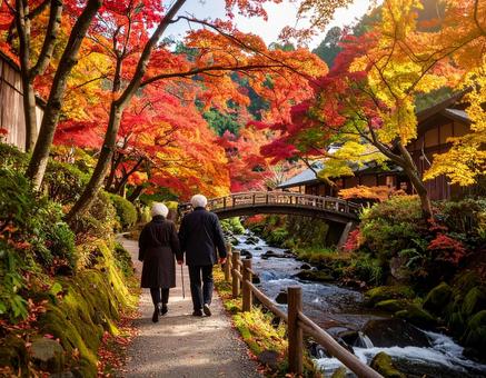 紅葉を楽しむ老夫婦 紅葉を楽しむ老夫婦の写真