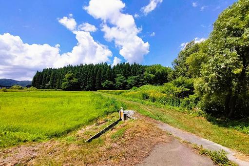 2025年7月の里山21 2025年7月の里山21の写真