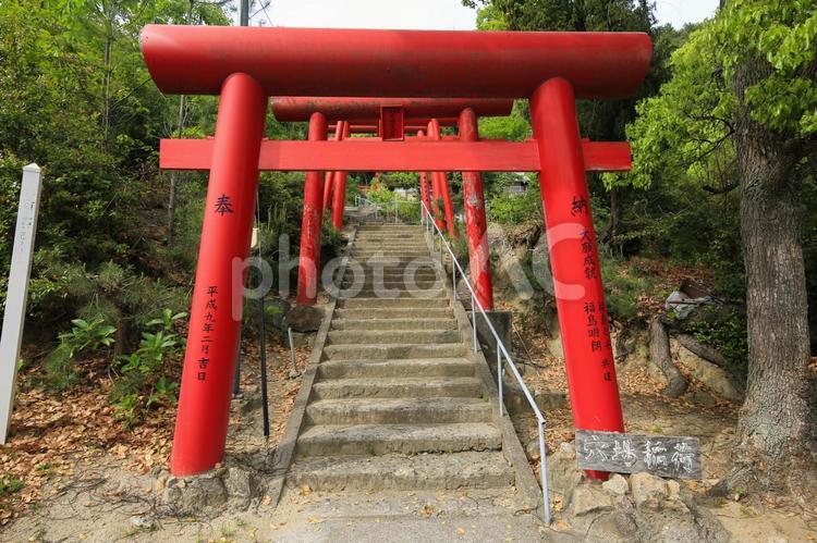 岡山県倉敷市　穴場稲荷　入口 穴場稲荷神社,穴場稲荷,穴場稲荷大明神の写真素材