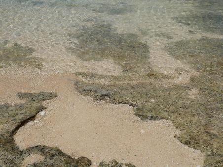 砂浜 sandy beach 砂浜 sandy beachの写真