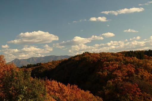 頂上からの景色 紅葉,落葉,秋晴れの写真素材