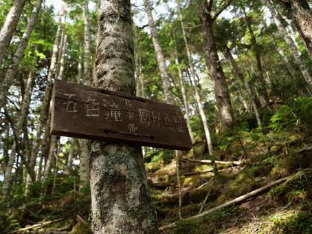 鳳凰三山のドンドコ沢登山道 滝,鳳凰三山,ドンドコ沢の写真素材