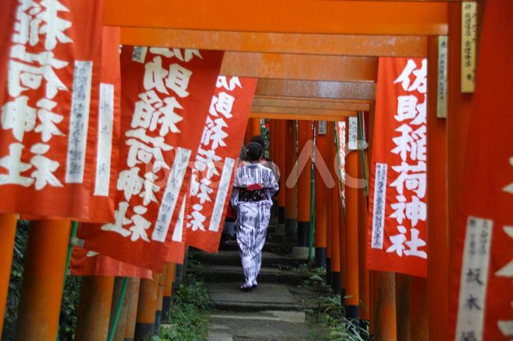 佐助稲荷の赤鳥居と幟 鎌倉,佐助稲荷,稲荷の写真素材