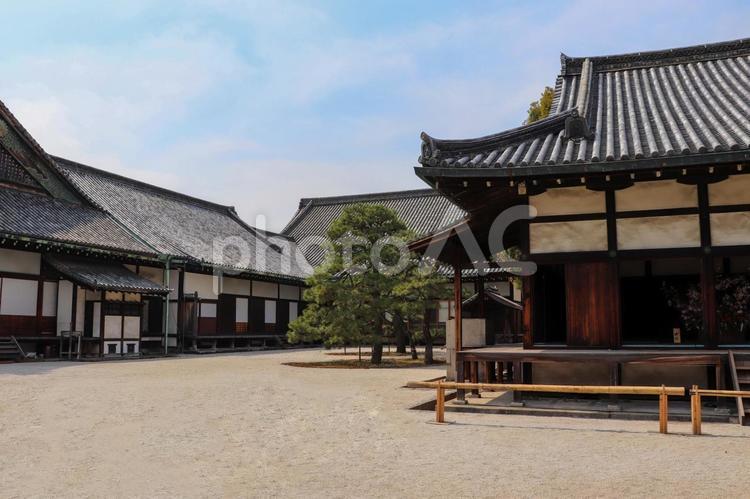 お城の御殿 城,御殿,二条城の写真素材