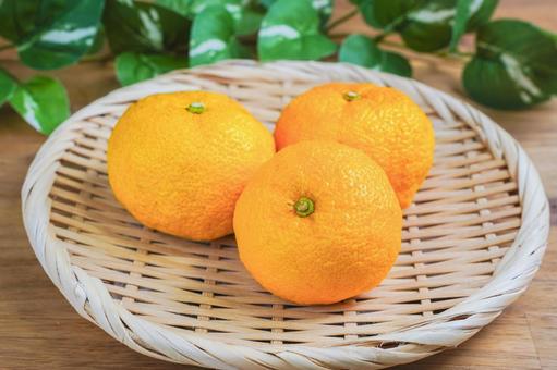 ゆず 柚子,冬至,柚子湯の写真素材