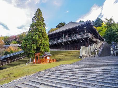 【奈良県】奈良市・東大寺二月堂 二月堂,東大寺,奈良公園の写真素材