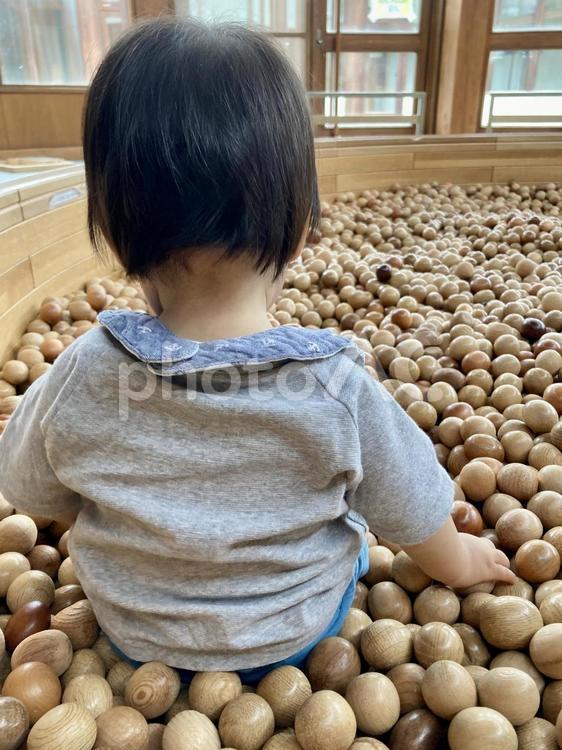 木のボールプールで遊ぶ子どもの後ろ姿 子ども,ボールプール,ボールの写真素材