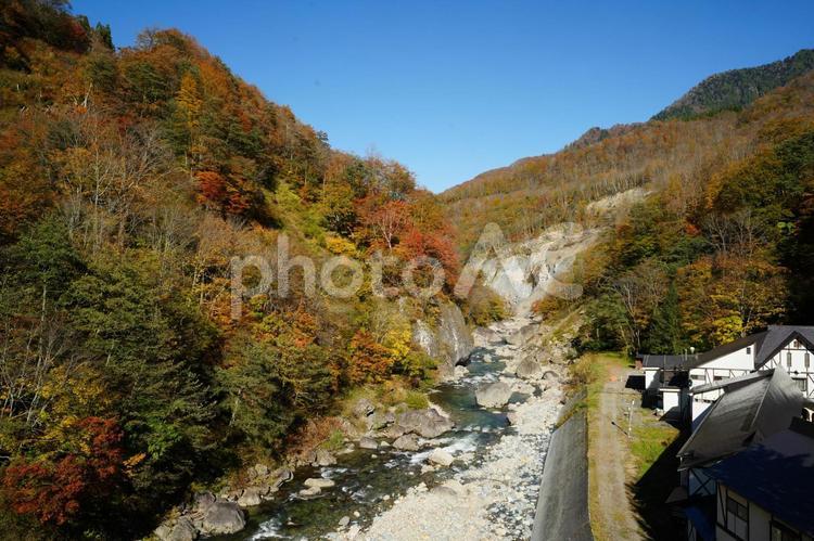 241104秋山郷切明橋 長野県,栄村,中津川の写真素材