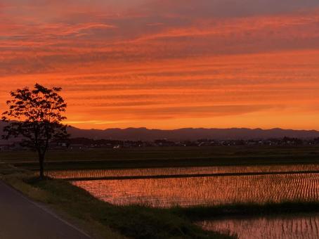 夕焼け2 夕焼け2の写真