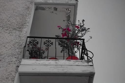 夏のギリシャ ブーゲンビリアの花 夏のギリシャ ブーゲンビリアの花の写真
