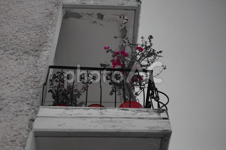 夏のギリシャ　ブーゲンビリアの花 ギリシャ,ブーゲンビリア,植物の写真素材