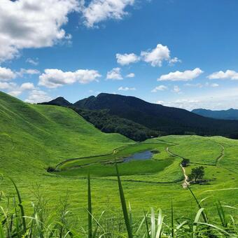 夏の高原 夏の高原の写真