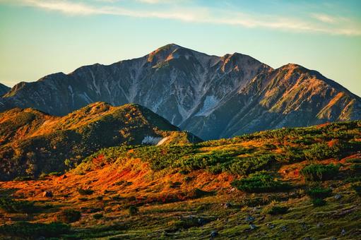 紅葉の北アルプスの薬師岳 紅葉の北アルプスの薬師岳 紅葉,朝焼け,モルゲンロートの写真素材
