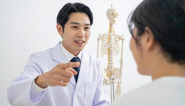 メディカル 骨の模型を見せ説明する整体師 メディカル 骨の模型を見せ説明する整体師の写真