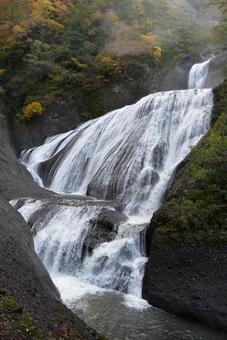 秋の袋田の滝 袋田の滝,秋,紅葉の写真素材