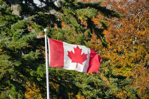 秋晴れにたなびくカナダの旗　　カナダ カナダの旗,カナダ,国旗の写真素材