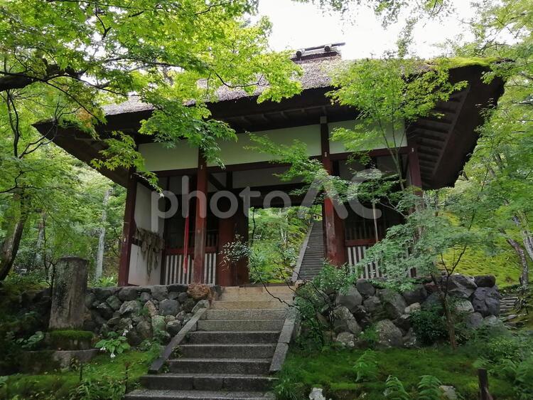 常寂光寺　仁王門　斜め 常寂光寺,仁王門,無人の写真素材