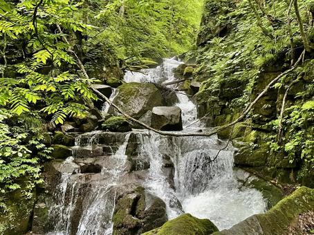 夏の奥入瀬渓流2 夏の奥入瀬渓流2 奥入瀬渓流,渓流,滝の写真素材