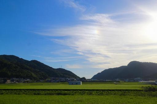 青空と田園風景の写真
