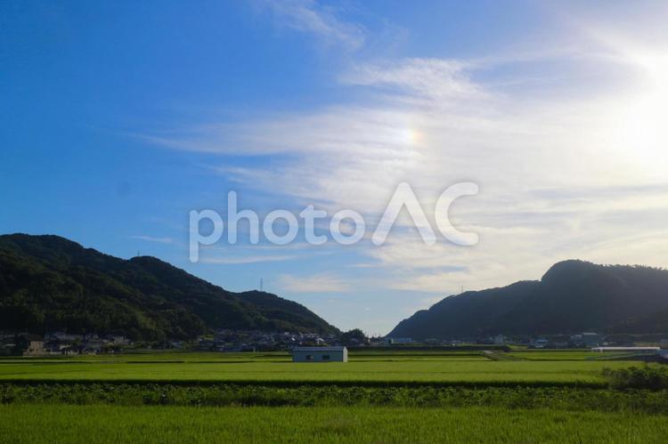 青空と田園風景 コピースペース,青空,田んぼの写真素材