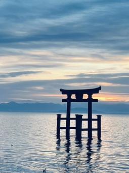朝の白鬚神社 白鬚神社,白鬚,滋賀の写真素材