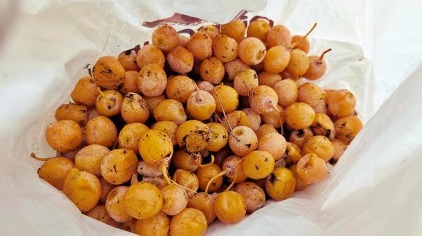 銀杏 紅葉,秋,紅葉狩りの写真素材