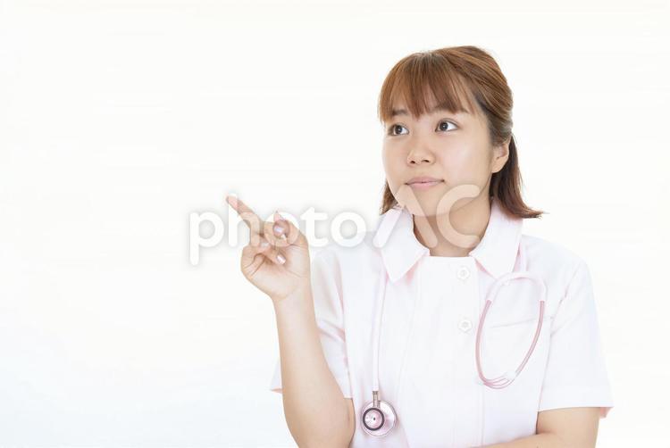 指さす看護師 看護婦,看護師,女性の写真素材