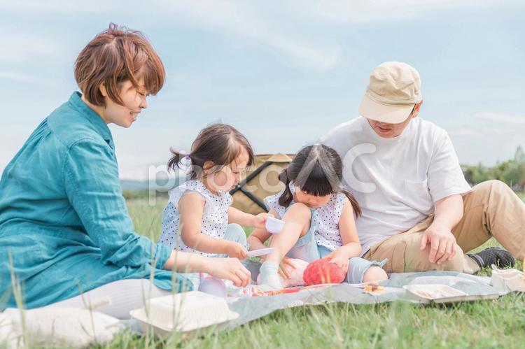 公園でピクニックする家族（不機嫌・喧嘩） ピクニック,不機嫌,喧嘩の写真素材