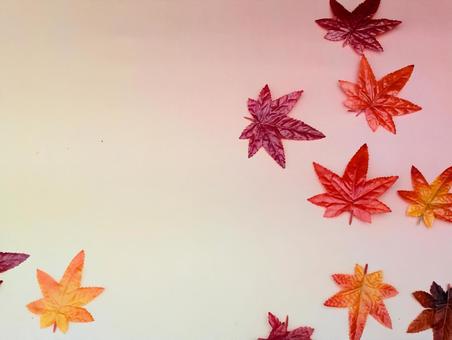 秋イメージ(紅葉)2 秋イメージ(紅葉)2の写真