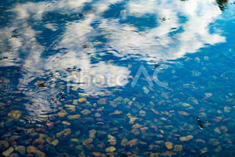 夏の水面とあめんぼ あめんぼ,夏,水面の写真素材