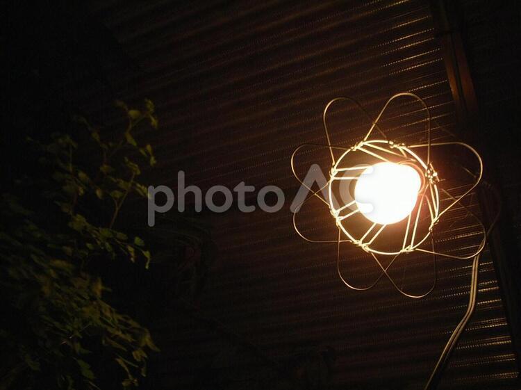 ライトと植物 ライト,夜,照明の写真素材