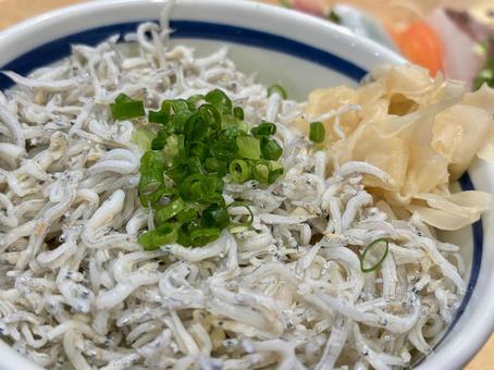 しらす丼 しらす丼 しらす,しらす丼,シラスの写真素材