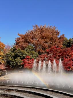 虹を抱く噴水(秋) 02 噴水,水景施設,紅葉の写真素材