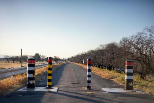 冬枯れの河川敷、続く道 道,一本道,アスファルトの写真素材