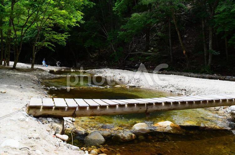 【自然・風景】渓流釣り アウトドア,ゲームフィッシング,コピースペースの写真素材