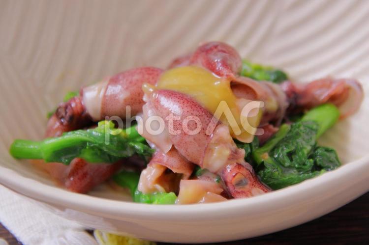 ホタルイカと菜の花の酢味噌和え 和食,日本料理,菜の花の写真素材
