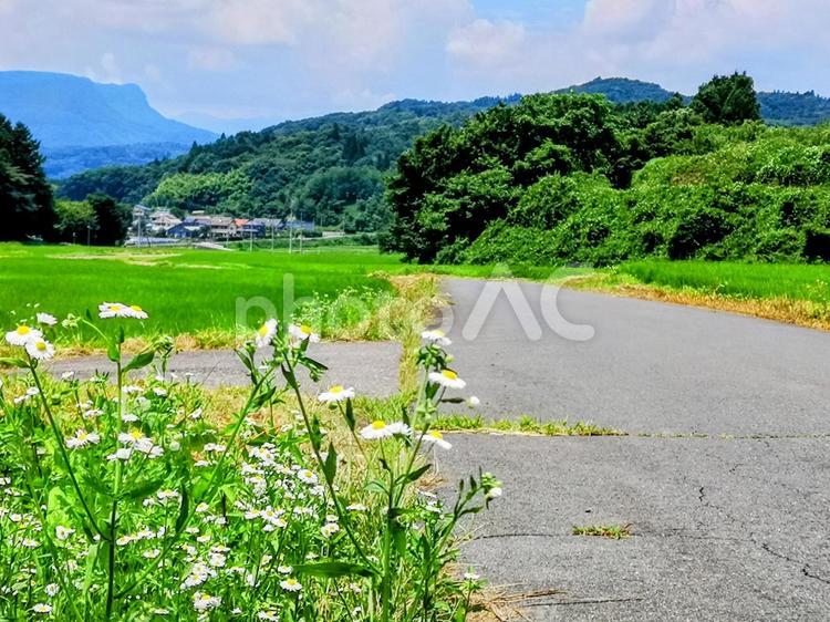沼田市/風景① 山,絶景,畑の写真素材