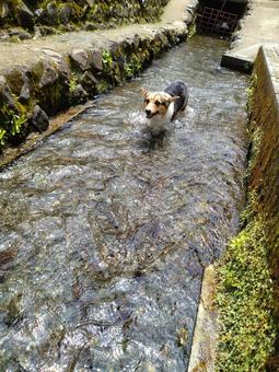 Water Play, JPG