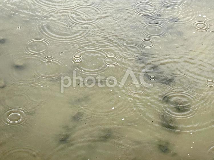 水たまりに落ちる雨粒 雨,水たまり,7月の写真素材