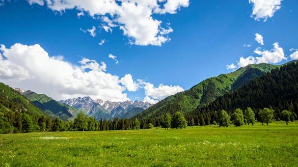 青空の下の山の高原01の写真