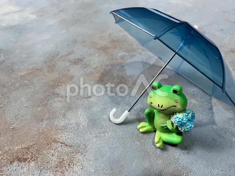 雨宿りするカエルの置物 梅雨,カエル,置物の写真素材