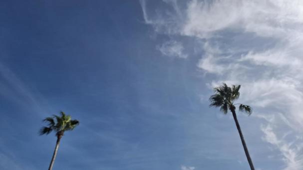 夏の空 夏の空の写真