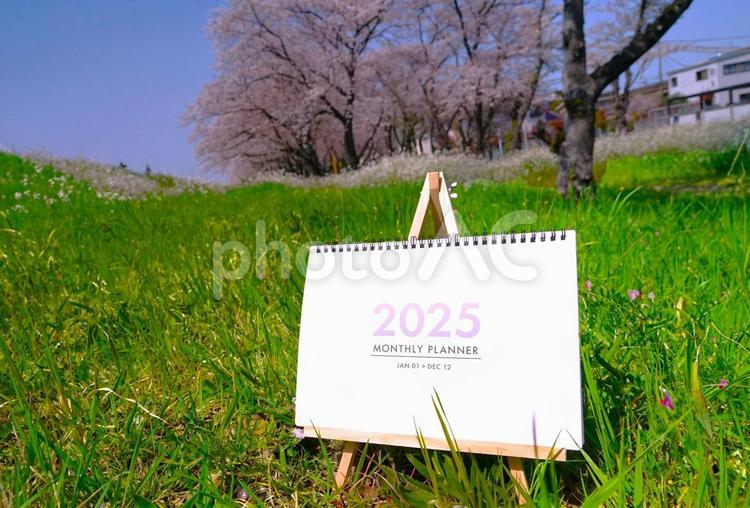 草原の２０２５カレンダー カレンダー,桜,２０２５年の写真素材