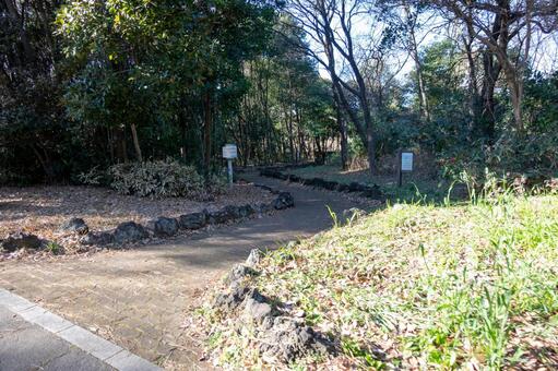 葛西臨海公園 葛西臨海公園の写真