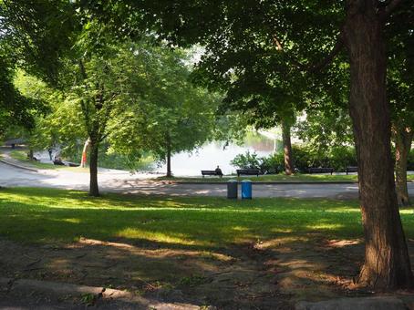 カナダモントリオールにある公園 公園,パーク,自然の写真素材